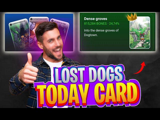 Lost Dogs Today Card | how to find lost dogs right card