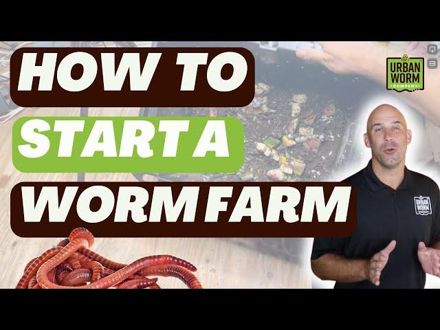 Start A Worm Farm The Right Way: Step By Step Video Guide