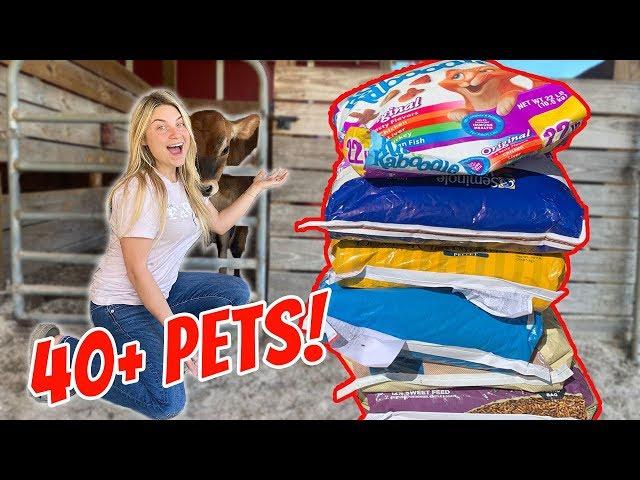 BUYING FEED FOR ALL MY PETS In One Video! 40+ Pets!