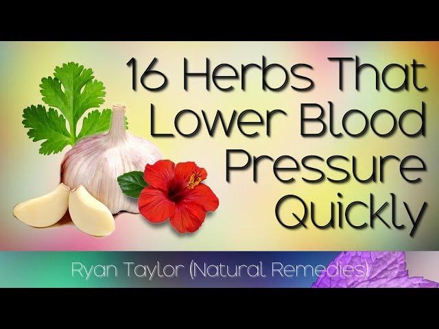 16 Herbs that Lower Blood Pressure (Naturally and Quickly)