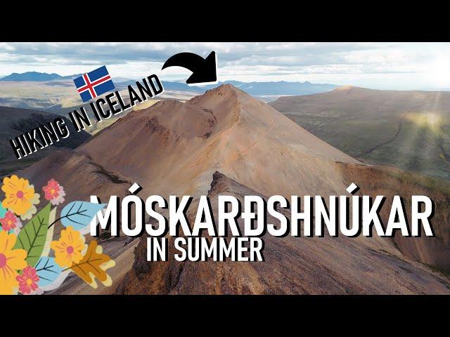 Hiking Móskarðshnúkar in Summer