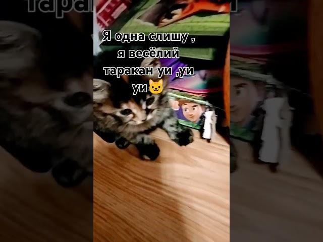 ?????