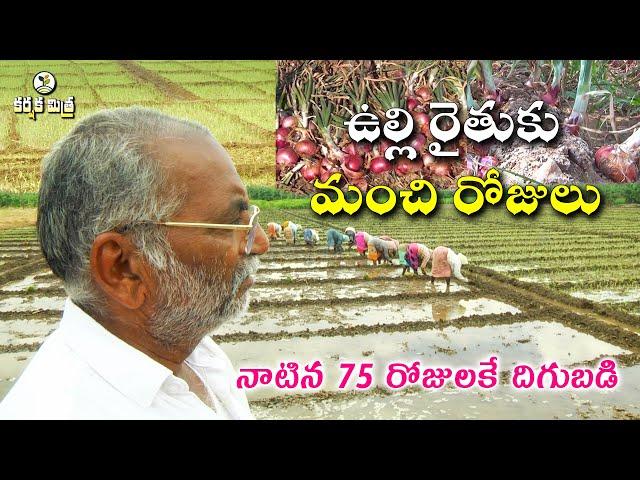 ఉల్లి పంట సాగులో ఆదర్శ రైతు || Success Story of Onion Cultivation || Karshaka Mitra