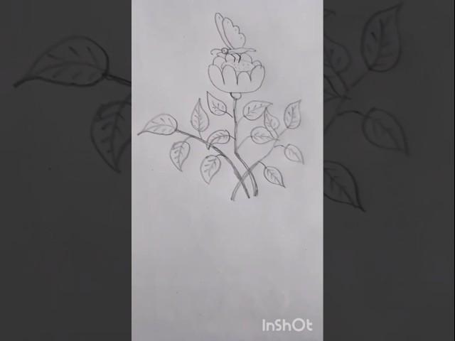 Easy and beautiful drawing #shortvideo