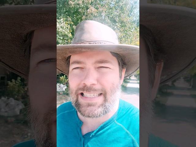 JORDAN PETERSON ACADEMY? #jordanpeterson #education #mattdillahunty #samharris #pangburn