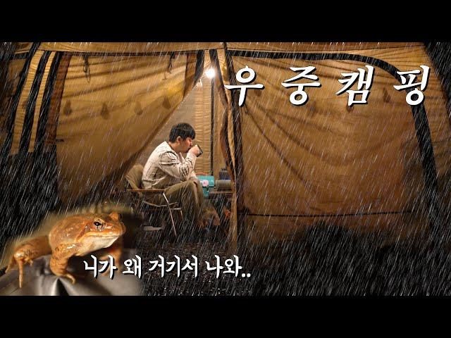 비도 들어오고 개구리도 들어오고! 봄맞이 우중캠핑 camping