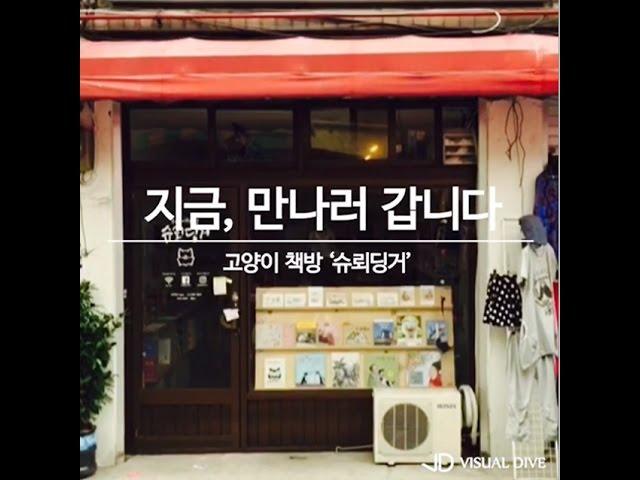 고양이 책방 '슈뢰딩거' 애묘인들의 사랑방 [동영상]