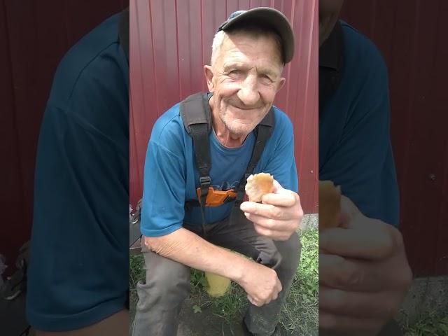 11 июня 2025 г.