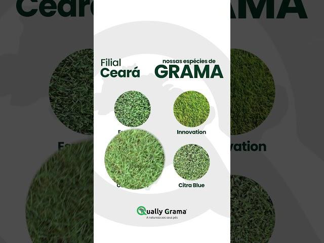 Transforme seu espaço com a Qually Grama! 
