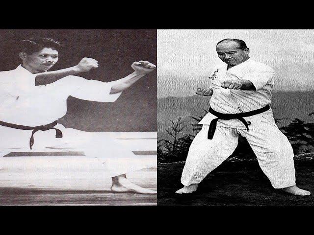 The Difference Between Shotokan & Kyokushin