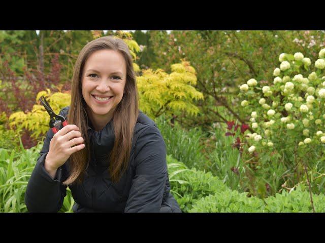 How to pinch seedlings for increased yields // Northlawn Flower Farm