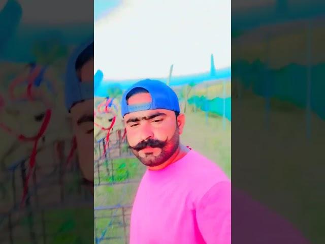 #https://youtube.com/shorts/zc4y3jSwWLU?si=Rm66VhcNYvBKPIv2#youtube #