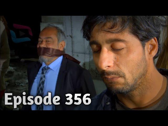 Da Dare Morchal Episode 356 / د درې مورچل برخه/ Da Dare Morchal/Sungurler/#adiltv