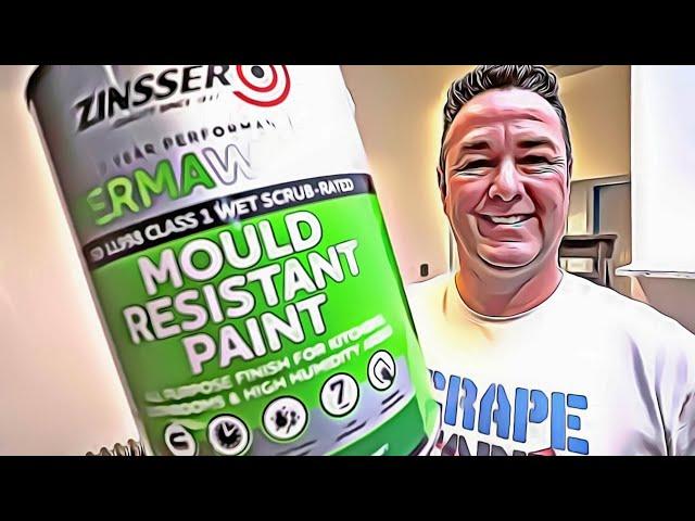 Why we love Zinsser PermaWhite mould resistant paint