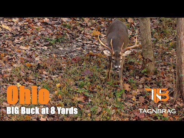 BIG Ohio BUCK at 8 Yards!