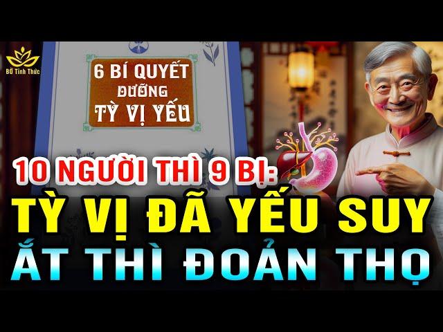 [Quý] 6 Bí Quyết HỒI SINH TỲ SUY VỊ YẾU CẢ ĐỜI KHÔNG BÊNH TÂT Lời khuyên sức khỏe thâm sâu