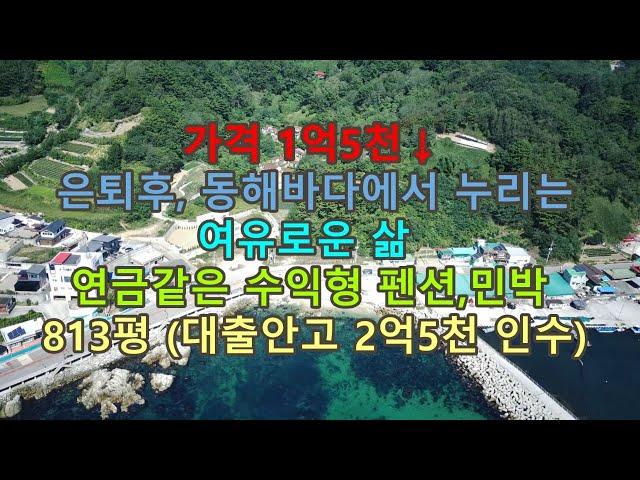 급매매, 가격1억5천인하↓(매매가격 5억원,대출2억5천안고 실인수가격 2억5천)동해바다 조망하는 자연석,조경수 가득한 숲속 펜션입니다. #영덕부동산#싼땅#시골땅#경북땅#촌땅#펜션