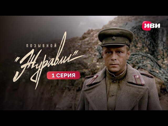 Позывной «Журавли» | 1 серия | Смотри на Иви