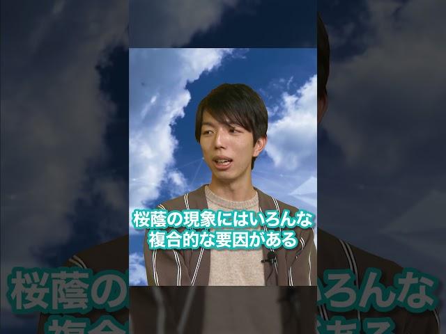 なぜ桜蔭から東大を目指す人が大幅に減っているのか？＃受験　＃東大