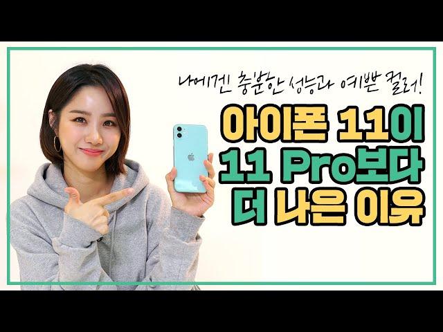 아이폰 11이 11 Pro보다 더 나은 이유?!