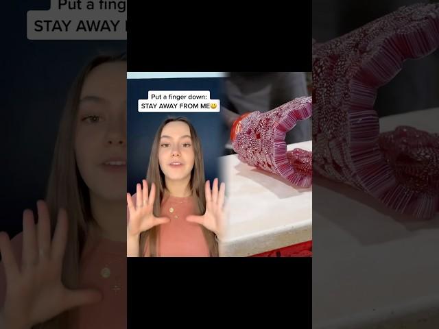 ig: Spencer.barbosa how many fingers do u have down! #putafingerdown #unpopularopinion #relatable
