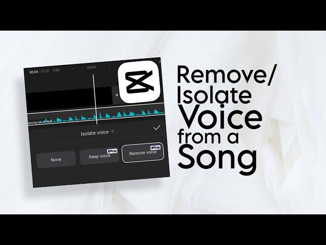 How to Remove/Isolate Vocals from a Song using CapCut