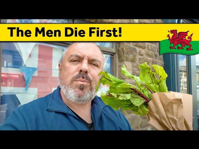 65. More Furniture & New Plants - Living Alone in Wales (May 2024)