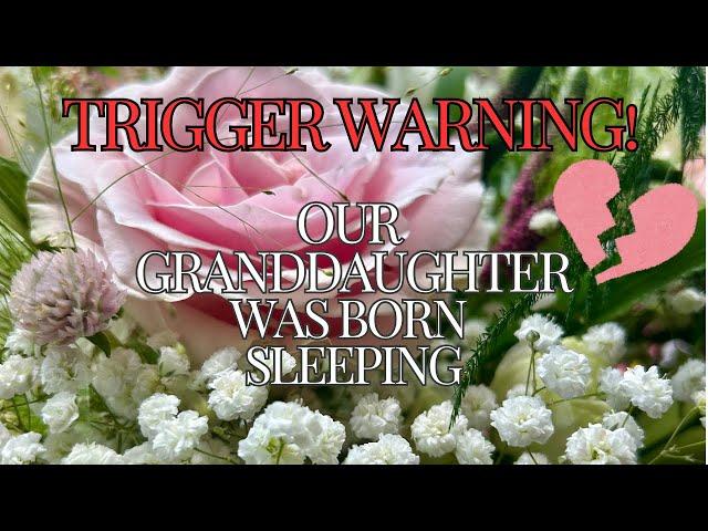 UPDATE | TRIGGER WARNING! discussion of stillbirth