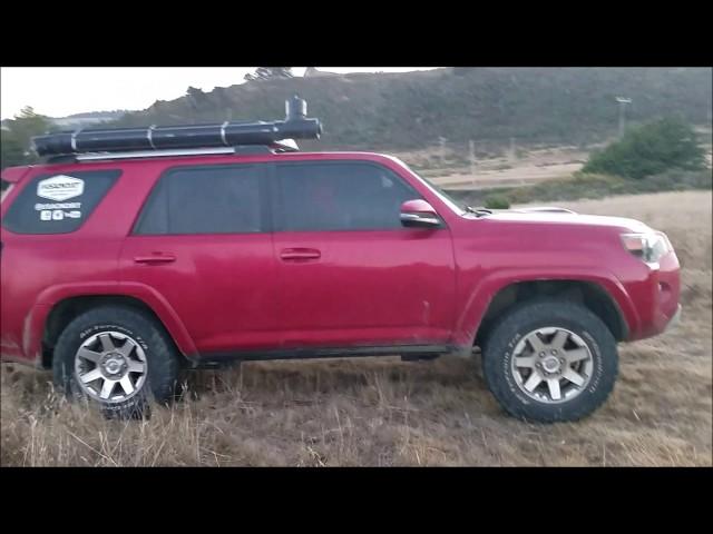 Sir William Goes to Pismo Beach California