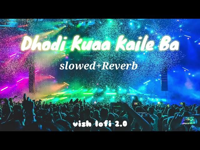 Dhodi kuaa kaile Ba || Slowed+ Reverb || #bhojpurisong || chandan chanchal || VISH LOFI WORLD
