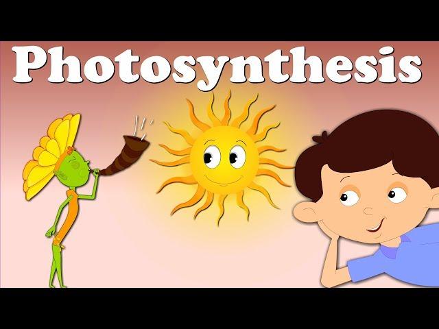 Photosynthesis | #aumsum #kids #science #education #children