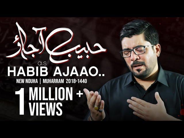 Nohay 2018 - Habib ع Aa Jao | Mir Hasan Mir New Noha 2018-19 | Muharram 1440H Nohay | Nohay 2019