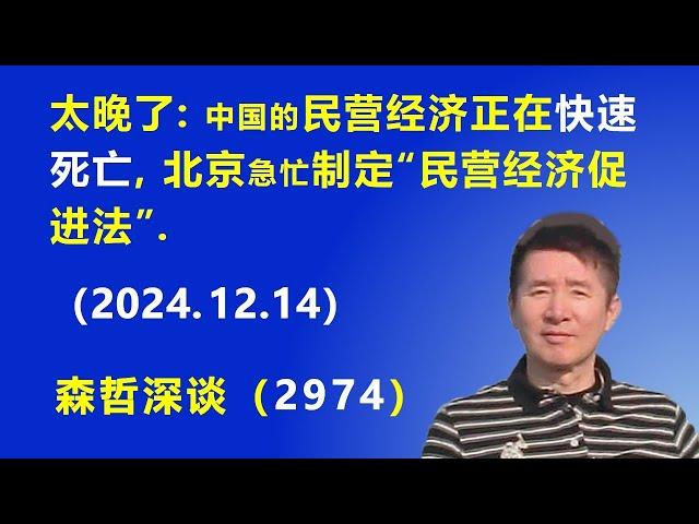 太晚了：中国的民营经济正在“快速死亡”，北京 急忙制定“民营经济促进法”. (2024.12.14) 《森哲深谈》