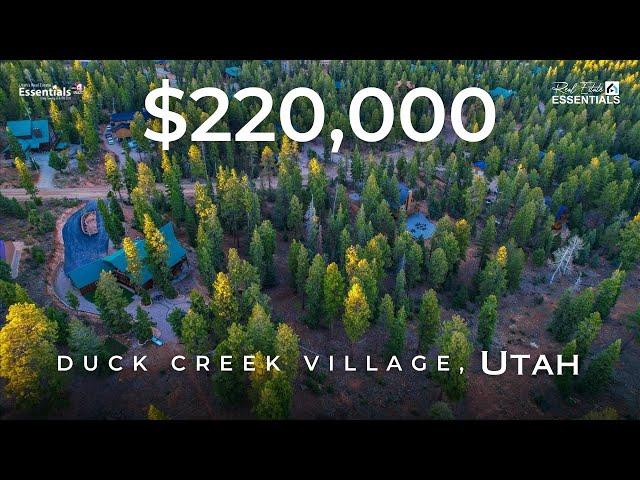  1320 Browning Rd, Duck Creek Village, UT | REE | ABC4 Utah's Real Estate Essentials