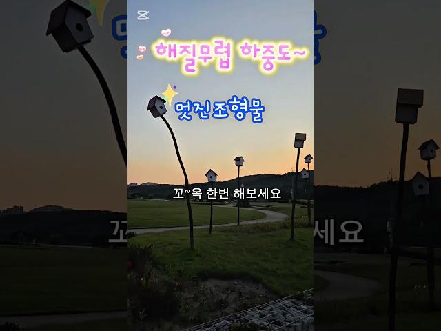 해질무렵 하중도산책 꼬~옥 해보세요~강추강추#대구데이트#대구석양#노을맛집 #대구근교가볼만한곳 #강아지산책