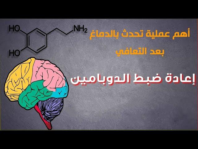 فهم هرمون الدوبامين وأهميته في التعافي |آلية العمل والتشافي