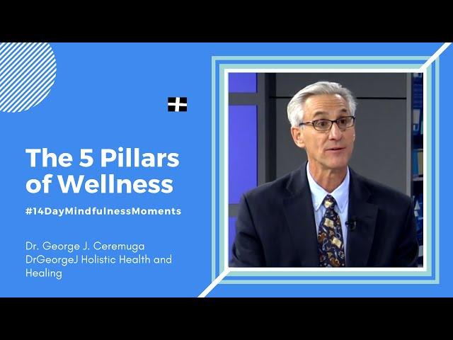 The 5 Pillars of Wellness | Holistic Health and Healing Dr. George Ceremuga