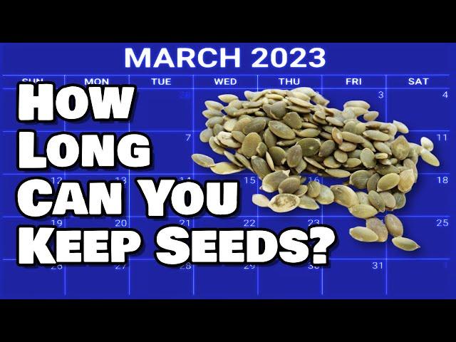 How Long Can Seeds Store - Seed Longevity