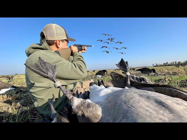 We shot A Rare Rivet Band while Goose Hunting! (Double Banded)