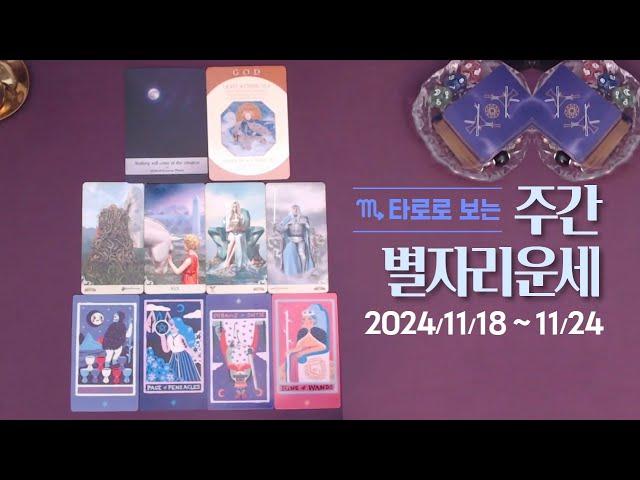 타로 |  24년 11월 셋째주 별자리 운세 (11/18~11/24)