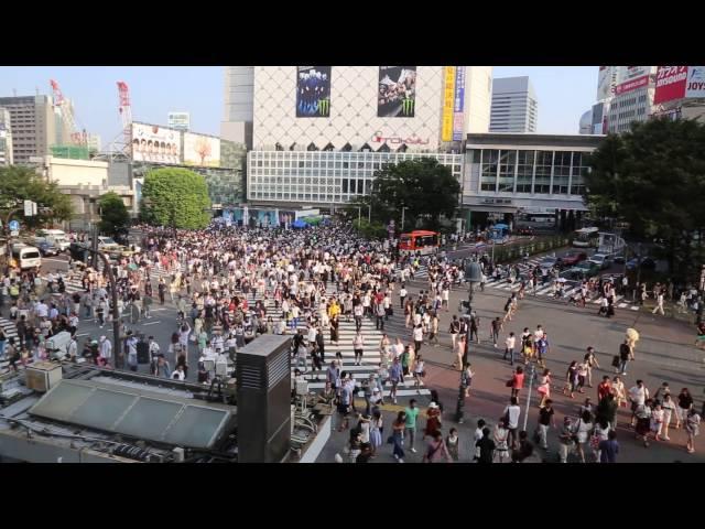 시부야 스크램블 교차로 (Sibuya scramble intersection)