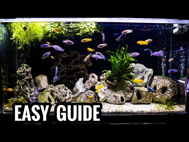 How to Setup an AFRICAN CICHLID Aquarium