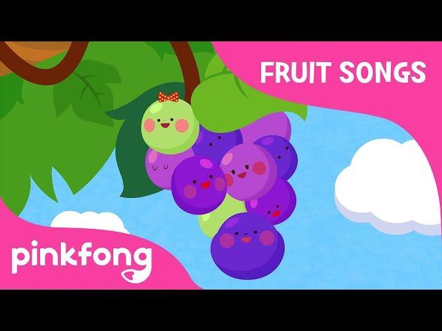 Grape-Rolling Rolling Grapes | Fruit Song | Pinkfong Songs for Children