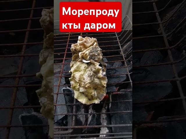 Приморский край. Большой Камень. Морепродукты бесплатно! Устрицы ловлю сам. #рецепт