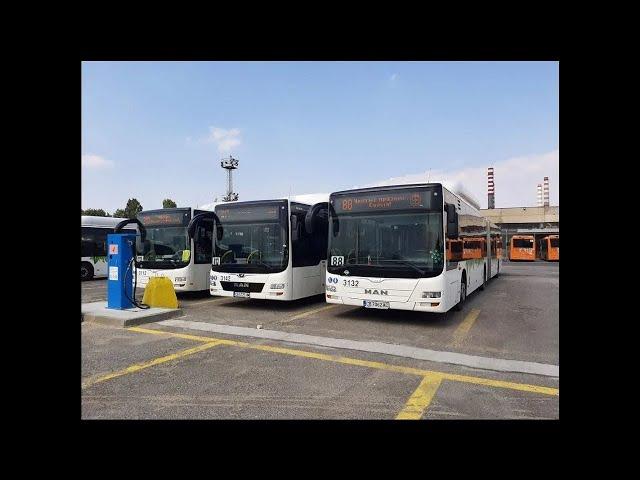 Sofia. Free bus line Sofia Ring Mall - Business Park Station. August 2024