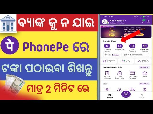 how send money from phonepe to bank account || phonepe money transfer in odia