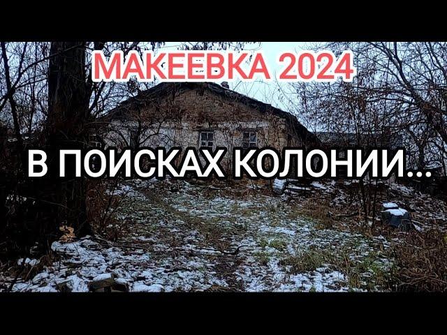 Макеевка.Декабрь 2024 В поисках колонии...