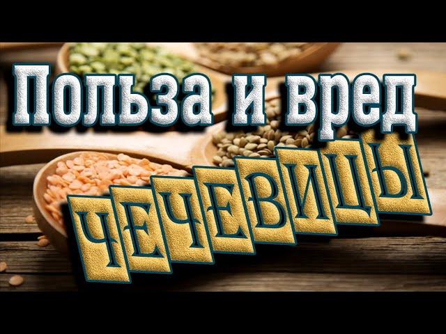  Польза и вред чечевицы Чем полезна чечевица? Здоровое питание  Употребление чечевицы  Здоровье