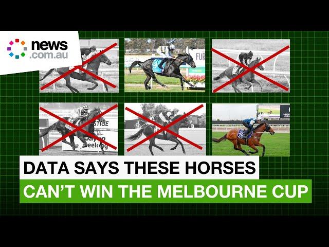 Melbourne Cup horses that can’t win 2024 race, according to data