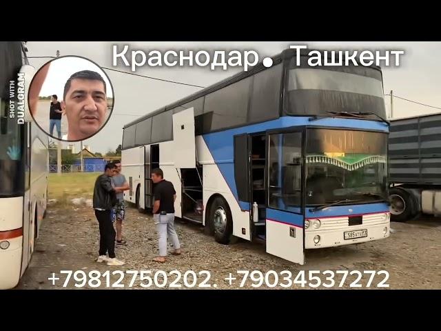 Krasnodar Tashkent#Краснодар. Ташкент автобус#Ростов-на-Дону Ташкент автобус #Сочи Ташкент ￼автобус